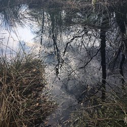 Moor 3